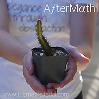 AfterMath - The Math Citadel