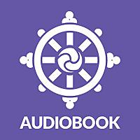 Recovery Dharma Audiobook