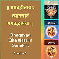 Bhagavad Gita Class (Ch1) in Sanskrit by Dr. K.N. Padmakumar (Samskrita Bharati)