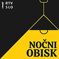 Nočni obisk