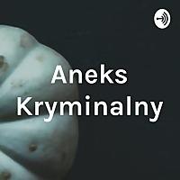 Aneks Kryminalny