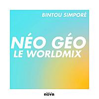 Néo Géo Nova : le Worldmix