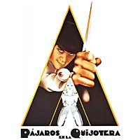 Pájaros en la Quijotera