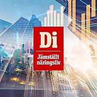 Di Jämställt näringsliv