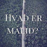 Hvað er málið?