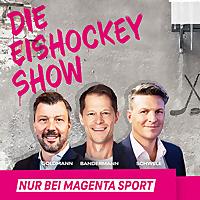 Die Eishockey Show