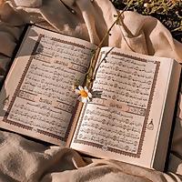 Vibes of Qur'an