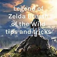 Legend of Zelda Breath of the Wild tips and tricks