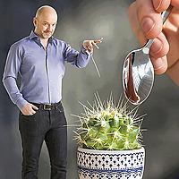 Le cactus