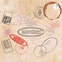 Nomadismo Professionale