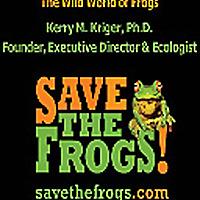 Happy Kids Festival Presents Save t he Frogs