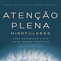 Meditação Mindfulness