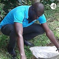 Aquaculture And Aquaculture Ecosystems Management