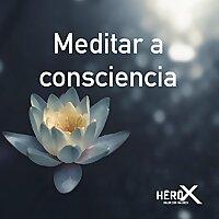 Meditar a consciencia