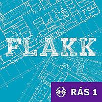 Flakk