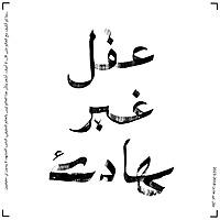 عقل غير هادئ | مبارك الزوبع