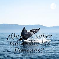 ¿Quieres saber más sobre las Ballenas?