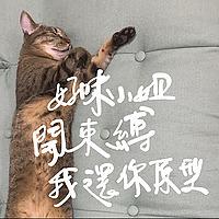 好味小姐開束縛我還你原形