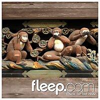 fleep.com - Deep House for lost souls.