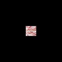الشيخ المغامسي – شذر القلائد