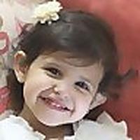 شيلات – محاضرات – أناشيد