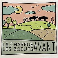 La charrue avant les boeufs !