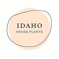 A Beginner's Guide to House Plants