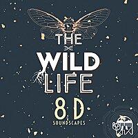 The Wild Life: 8D Soundscapes