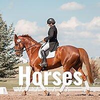 Horses