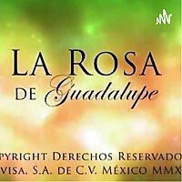 La rosa de Guadalupe