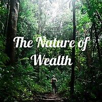 The Nature of Wealth