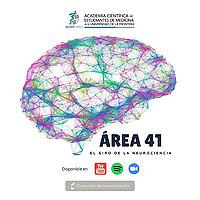 Área 41 - El giro de la neurociencia