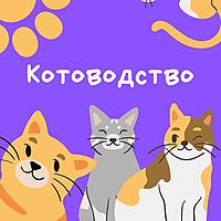 Котоводство