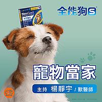 全能狗S 寵物當家
