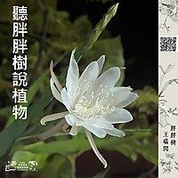 聽胖胖樹說植物