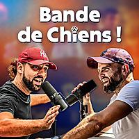 Bande de Chiens !