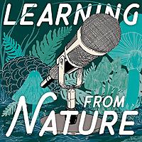 Learning from Nature: The Biomimicry Podcast with Lily Urmann