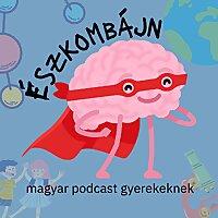 Észkombájn