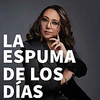La espuma de los días