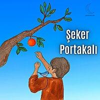 Şeker Portakalı Kitap Seslendirmesi