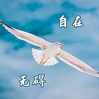 情绪习惯，决定你的一生（治愈焦虑，恐惧，抑郁，悲伤）