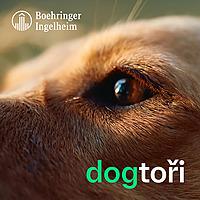 Dogtoři - pro kočky, koně a psy