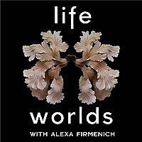 Lifeworlds