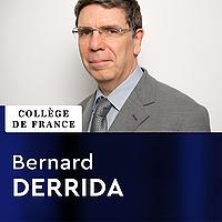 Physique statistique - Bernard Derrida