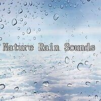 Nature Rain Sounds