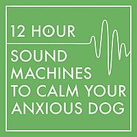 12 Hour Sound Machines to Calm Your Anxious Dog