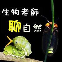【生物老師聊自然】小故事，談生態