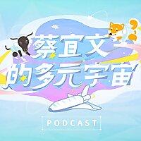 蔡宜文的多元宇宙