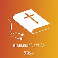 Bibelen på ett år