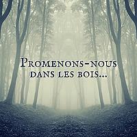 Promenons-nous dans les bois